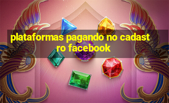 plataformas pagando no cadastro facebook