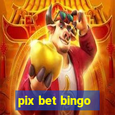 pix bet bingo