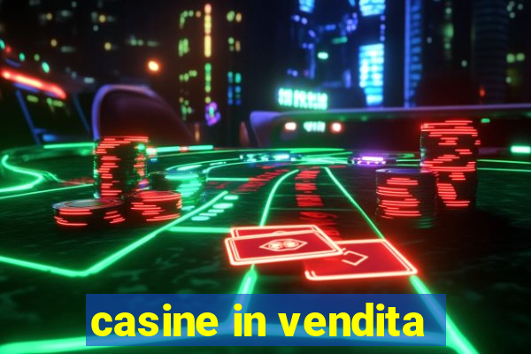 casine in vendita