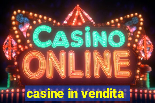 casine in vendita