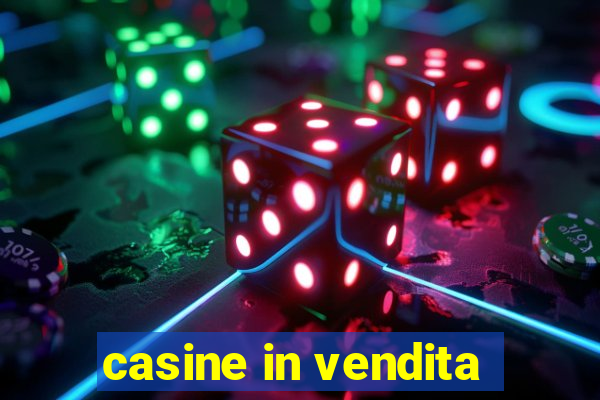 casine in vendita