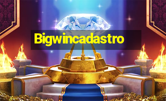 Bigwincadastro