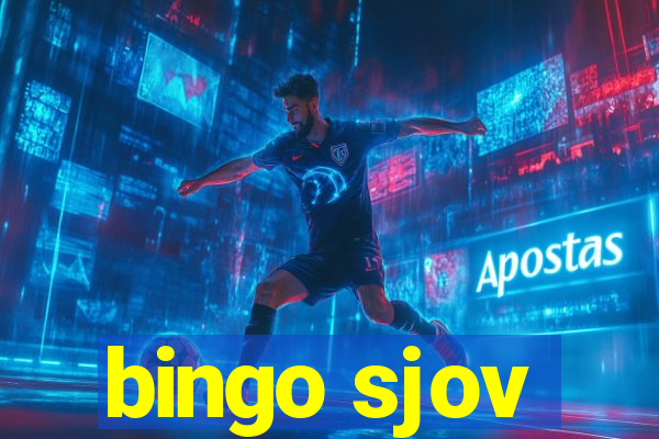 bingo sjov