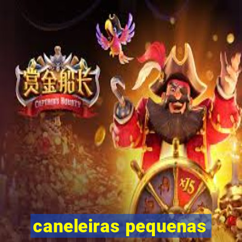 caneleiras pequenas