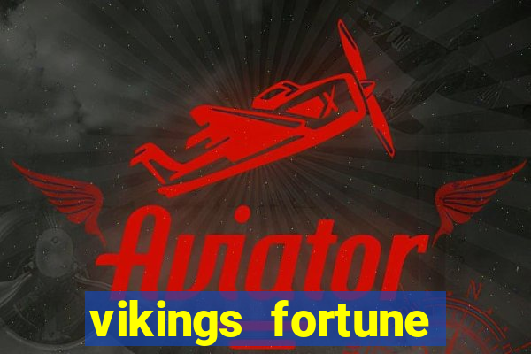 vikings fortune hold and win slot