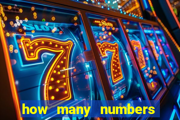 how many numbers in bingo