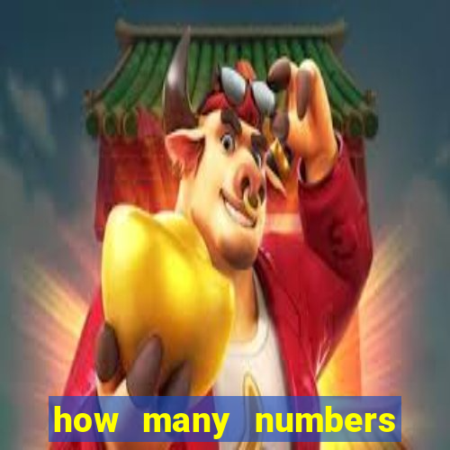 how many numbers in bingo