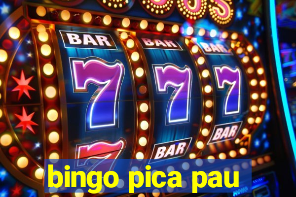 bingo pica pau