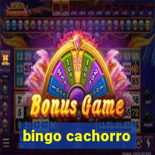 bingo cachorro