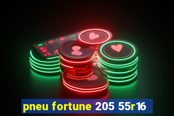 pneu fortune 205 55r16