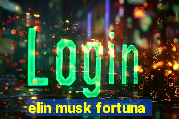 elin musk fortuna