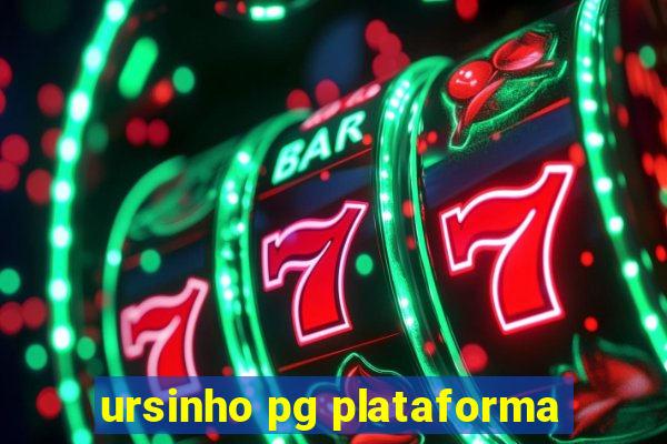 ursinho pg plataforma