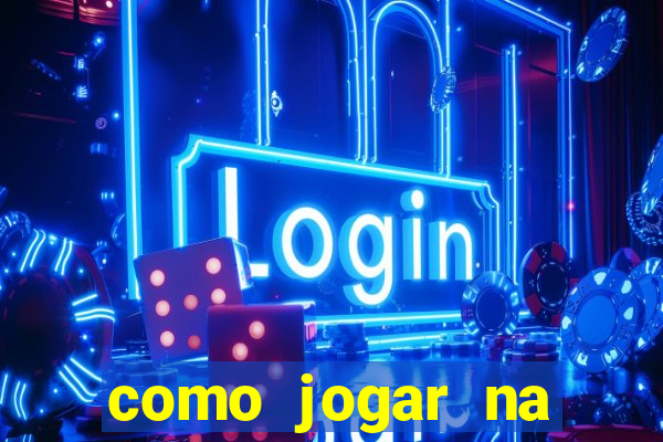 como jogar na lotinha do jogo do bicho