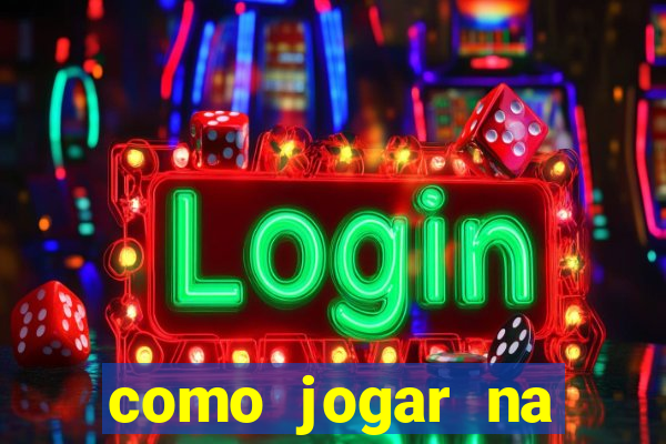 como jogar na lotinha do jogo do bicho