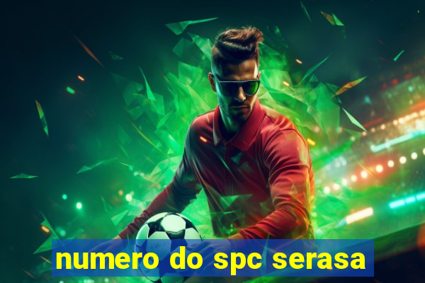 numero do spc serasa