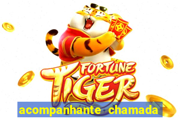 acompanhante chamada de video