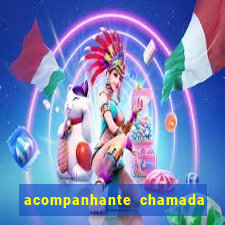 acompanhante chamada de video