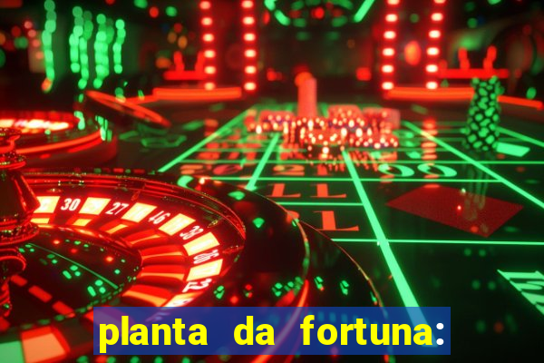 planta da fortuna: como cuidar