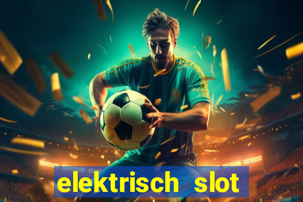 elektrisch slot houten poort