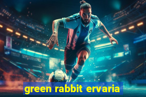 green rabbit ervaria