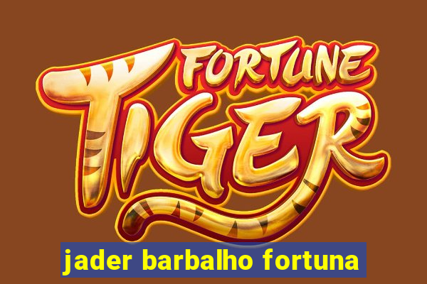 jader barbalho fortuna