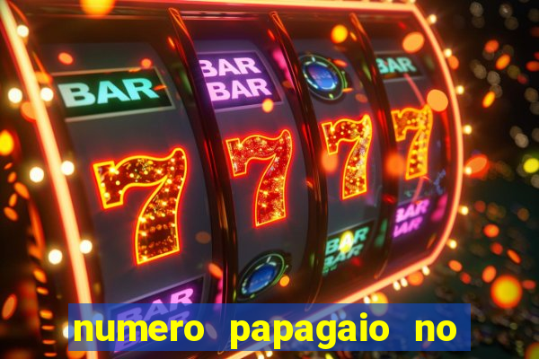 numero papagaio no jogo do bicho