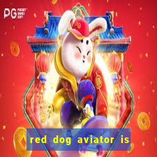 red dog aviator is real or fake