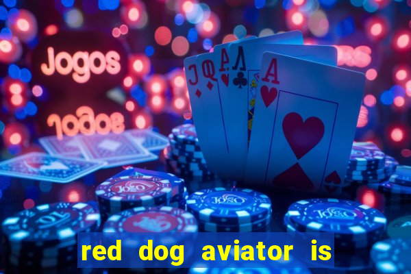 red dog aviator is real or fake