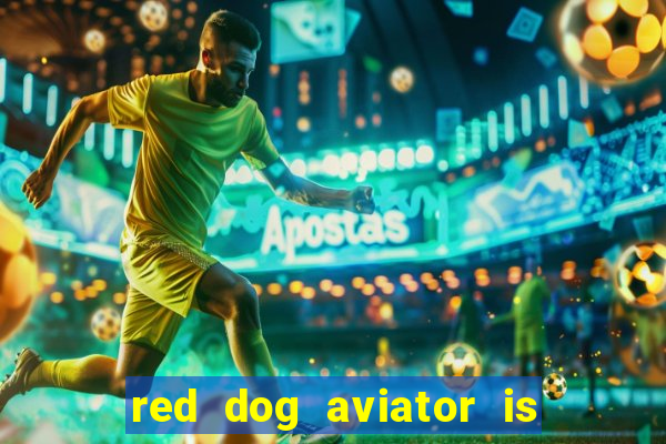 red dog aviator is real or fake