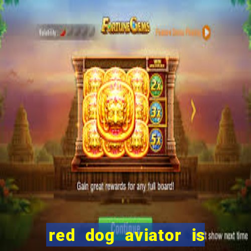 red dog aviator is real or fake