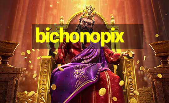 bichonopix