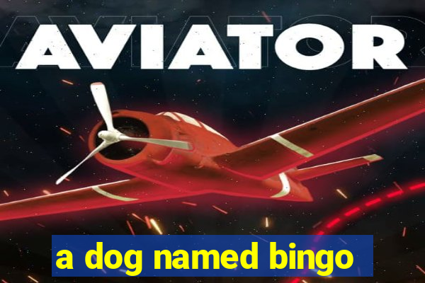 a dog named bingo