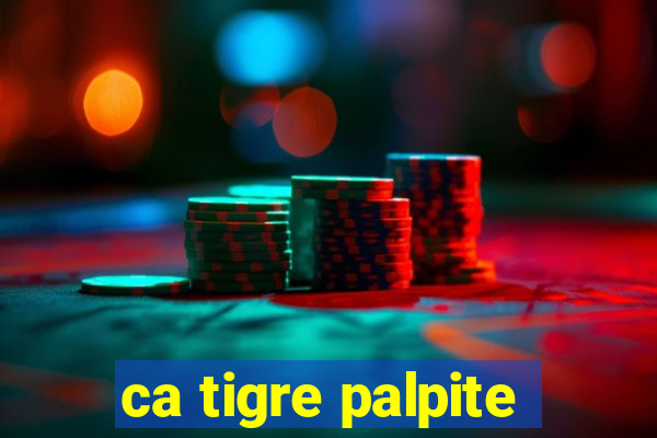 ca tigre palpite