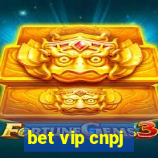 bet vip cnpj