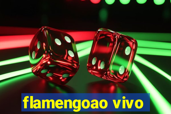 flamengoao vivo