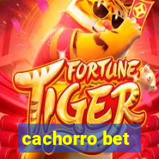 cachorro bet