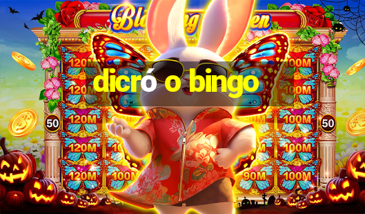 dicró o bingo