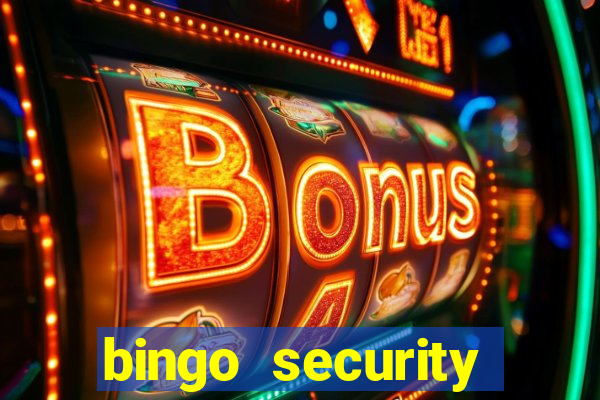 bingo security cassava net