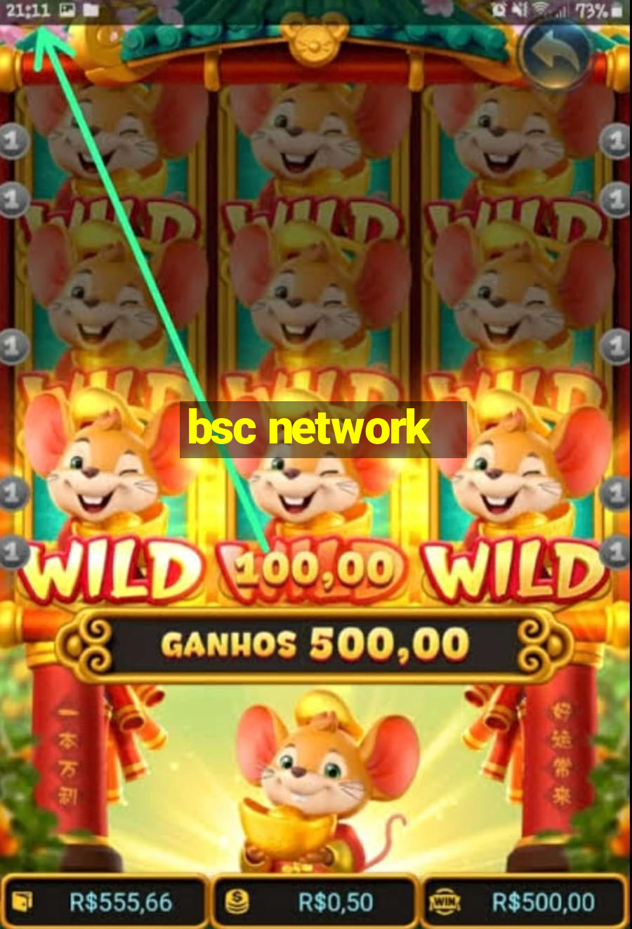 bsc network