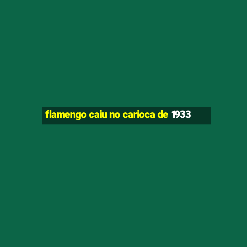 flamengo caiu no carioca de 1933