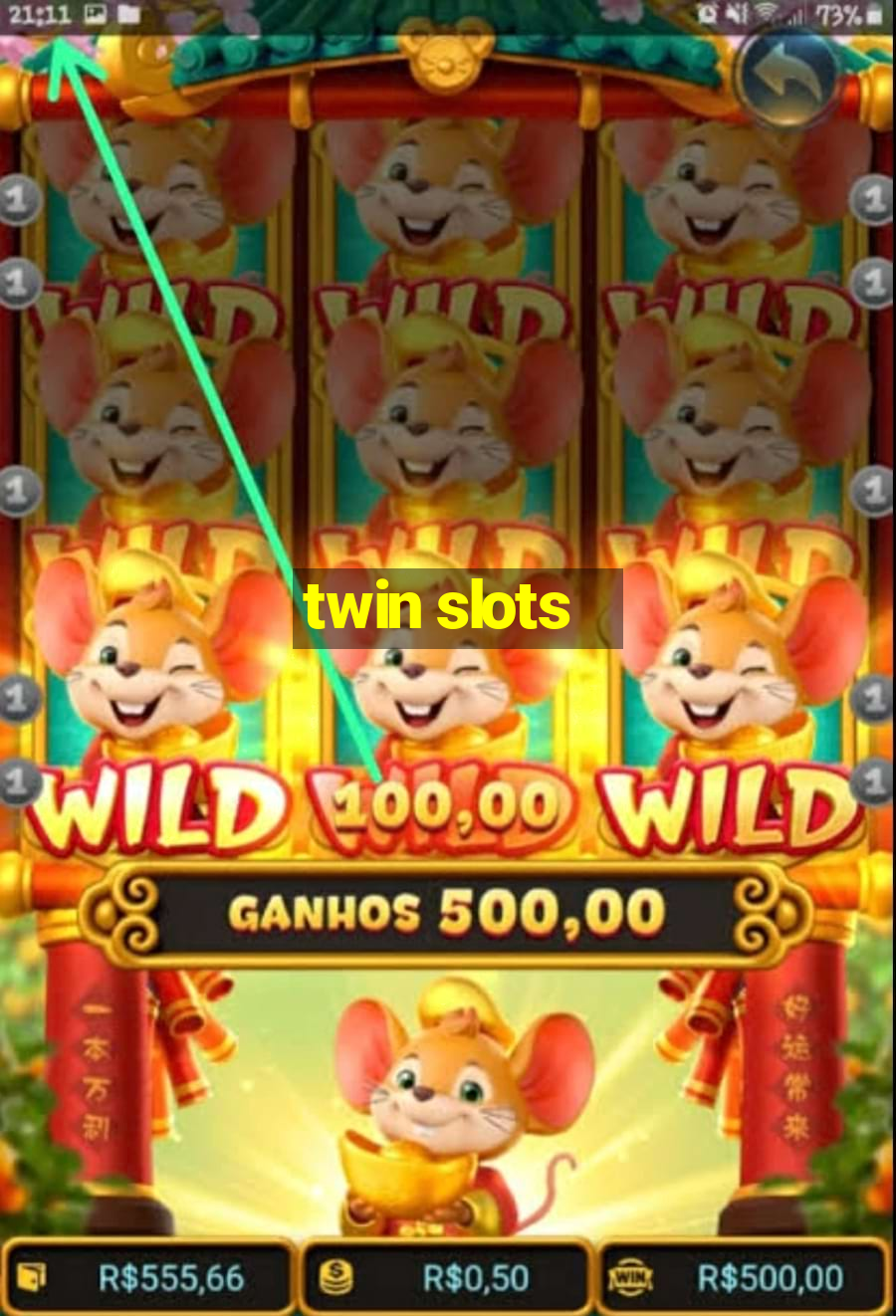 twin slots