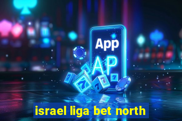 israel liga bet north