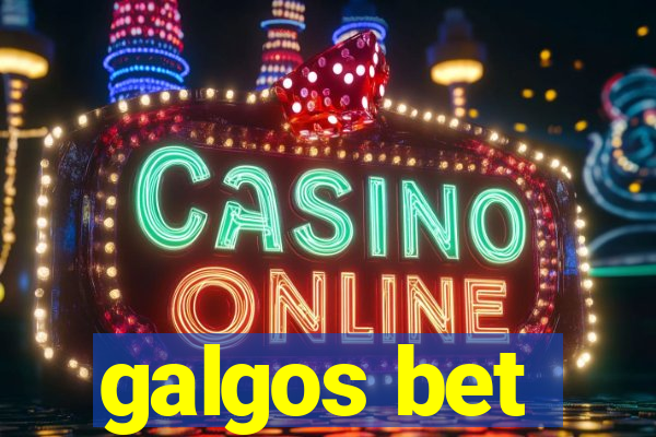 galgos bet