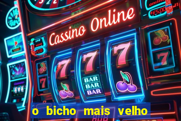 o bicho mais velho da loteria dos sonhos