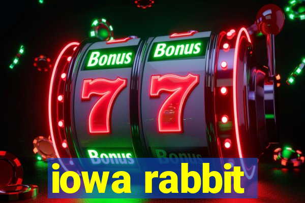 iowa rabbit