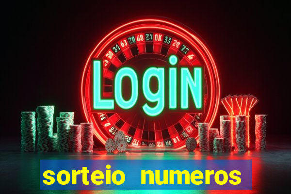 sorteio numeros bingo online