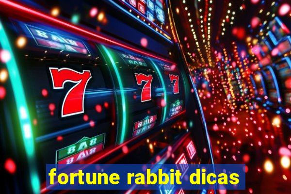 fortune rabbit dicas