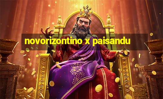 novorizontino x paisandu