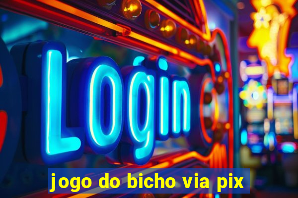 jogo do bicho via pix