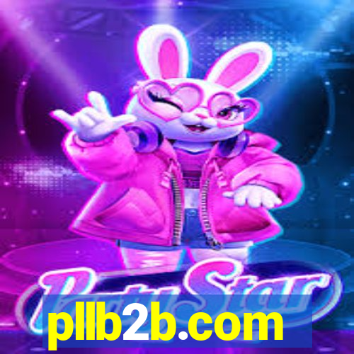 pllb2b.com